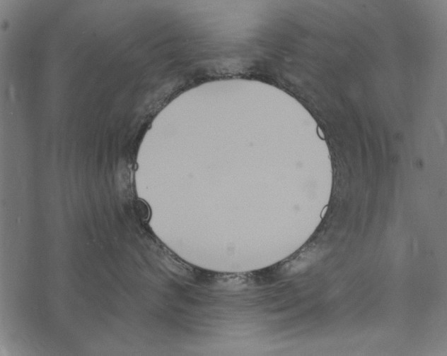 X0000072930624200608181317