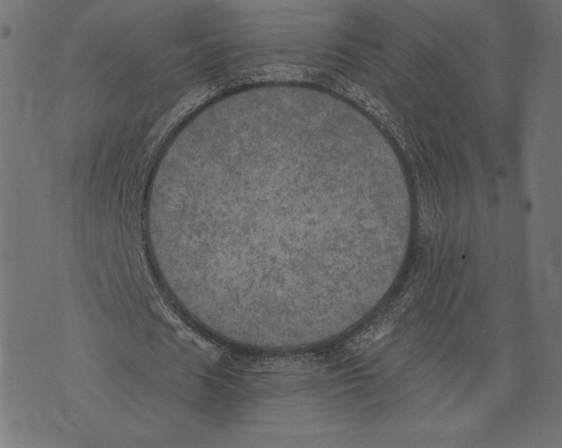 X0000072930625200608181317