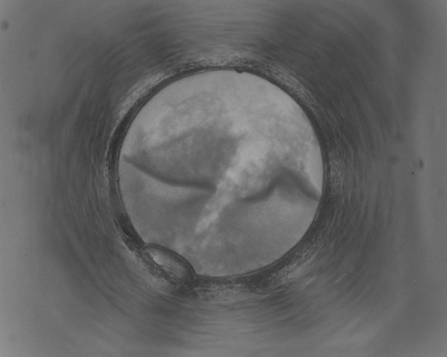 X0000072930626200608181317