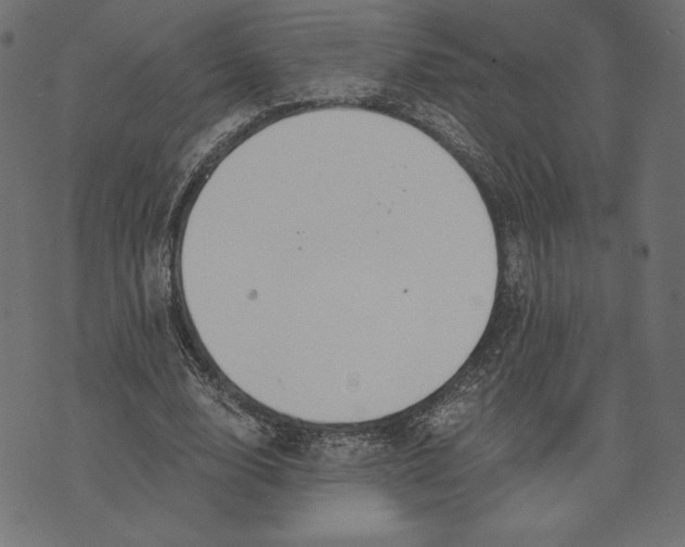 X0000072930632200608181317