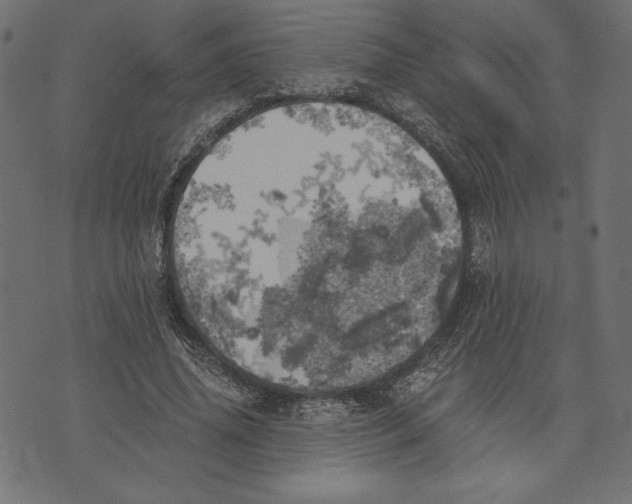 X0000072930636200608181317
