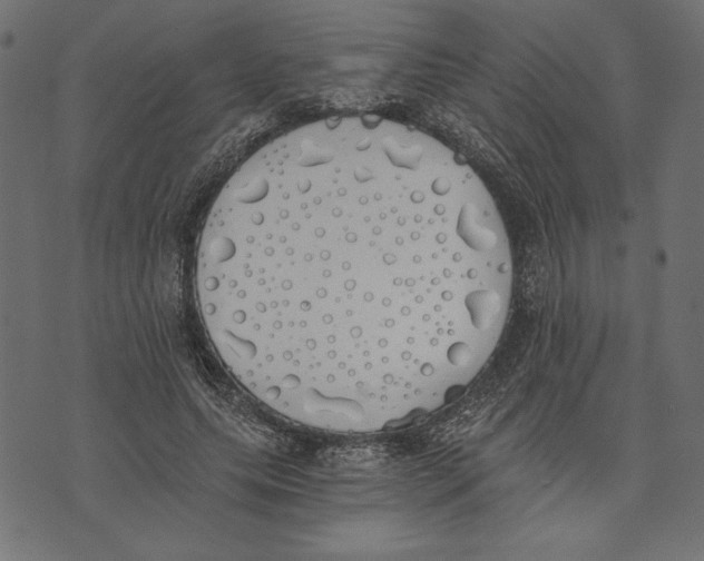 X0000072930639200608181317
