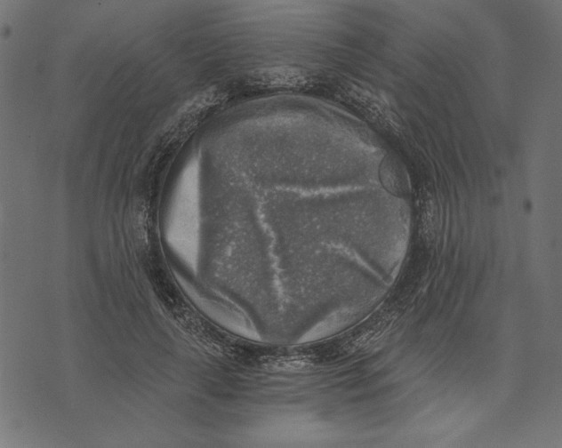 X0000072930643200608181317