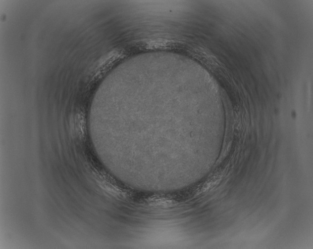 X0000072930648200608181317