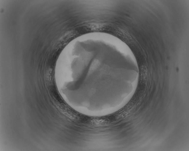 X0000072930650200608181317
