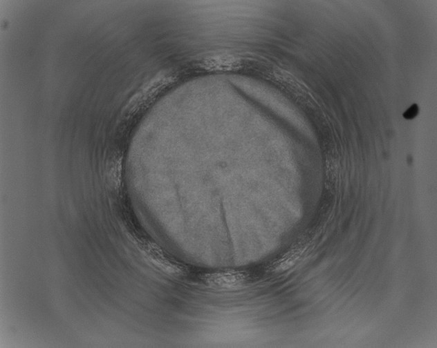 X0000072930652200608181317