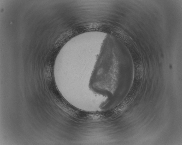 X0000072930654200608181317