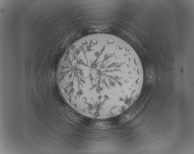 X0000072930657200608181317
