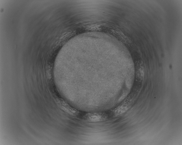 X0000072930658200608181317