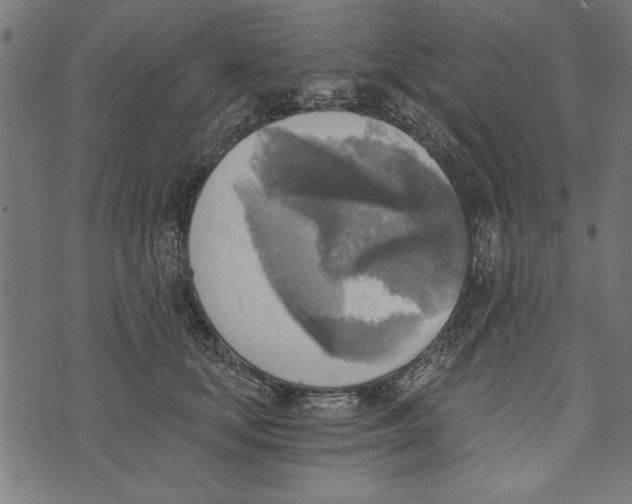 X0000072930659200608181317