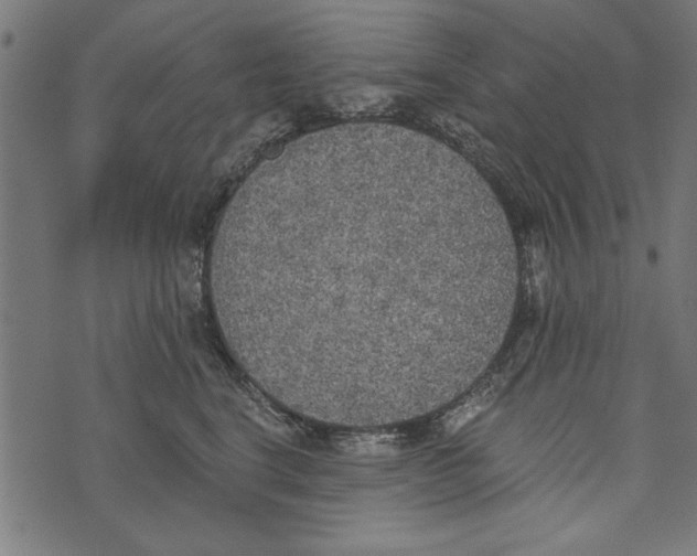 X0000072930664200608181317