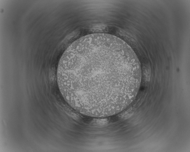 X0000072930665200608181317