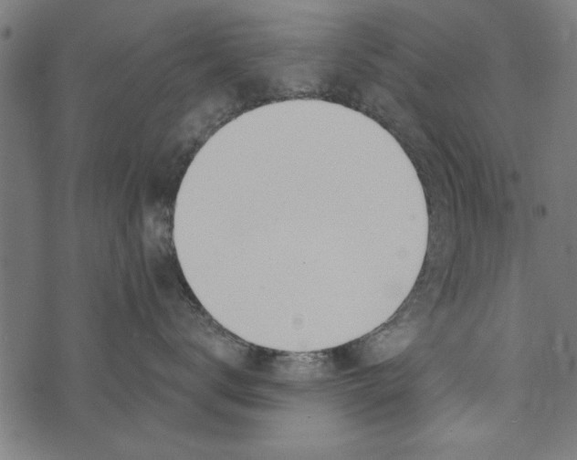 X0000072930672200608181317