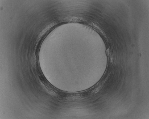 X0000072930674200608181317