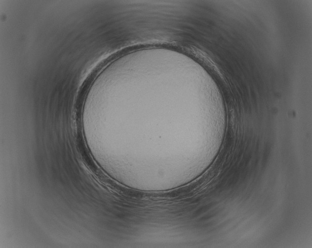 X0000072930676200608181316