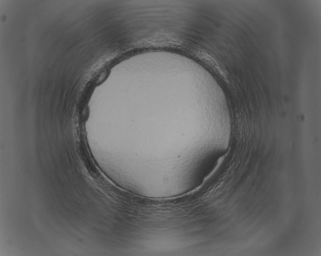X0000072930680200608181316