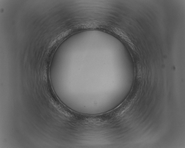 X0000072930681200608181316