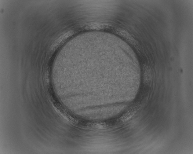 X0000072930683200608181316
