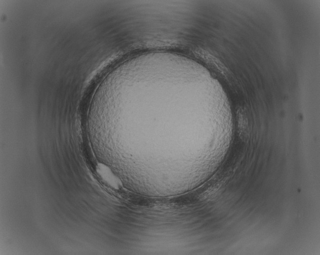 X0000072930684200608181316