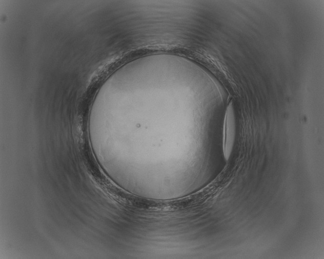 X0000072930688200608181316