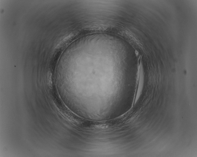 X0000072930692200608181316