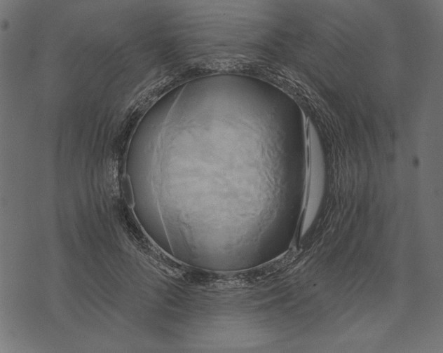 X0000072930696200608181316