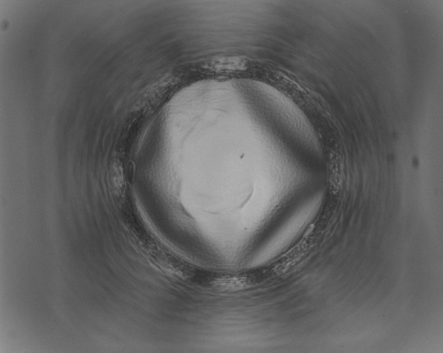 X0000072930704200608181316