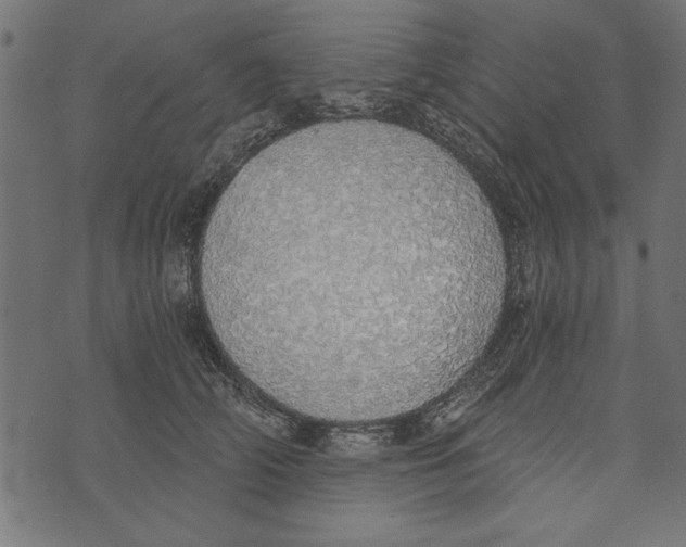 X0000072930706200608181316