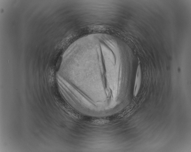 X0000072930708200608181316
