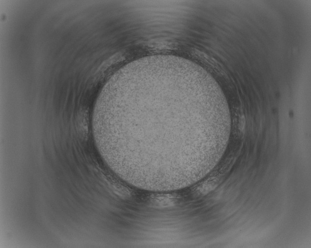 X0000072930710200608181316