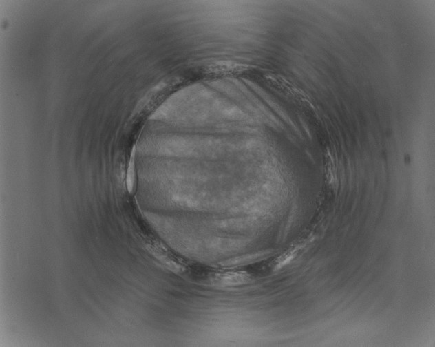 X0000072930716200608181316