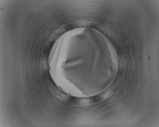 X0000072930718200608181316