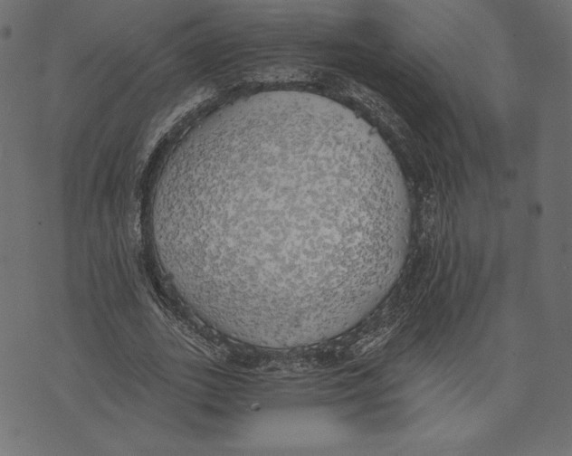 X0000072930727200608181315