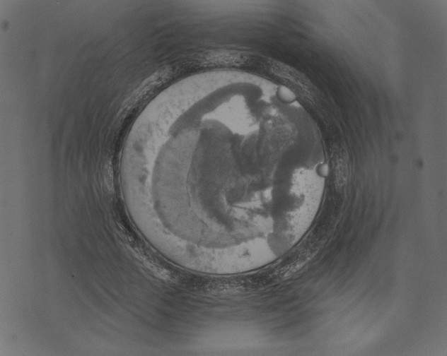 X0000072930729200608181315