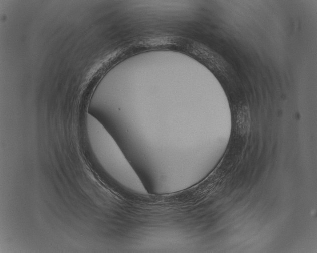 X0000072930732200608181315