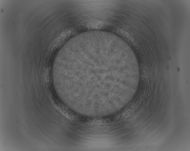 X0000072930738200608181315
