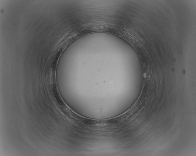 X0000072930744200608181315