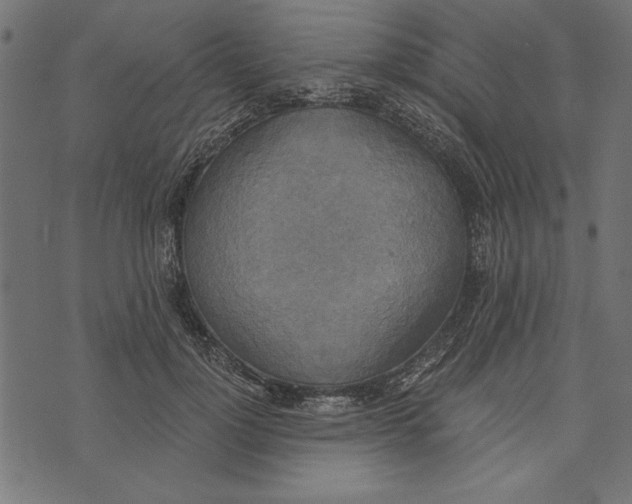 X0000072930748200608181315
