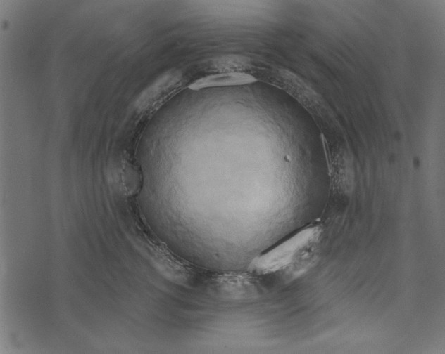 X0000072930762200608181316