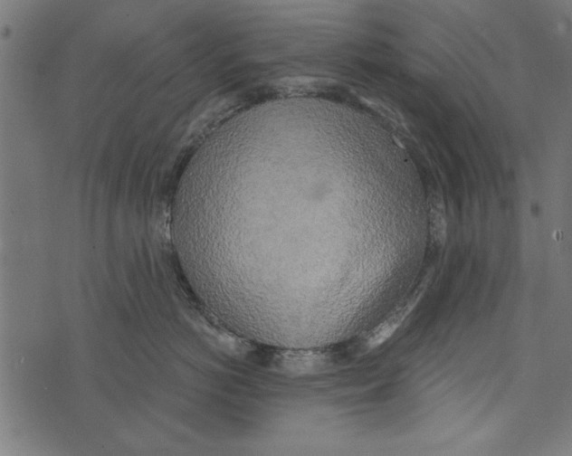 X0000072930766200608181316