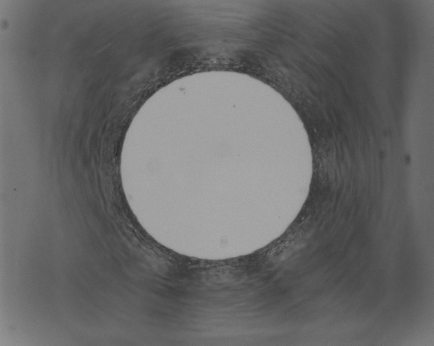 X0000072930769200608181315