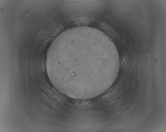 X0000072930772200608181315