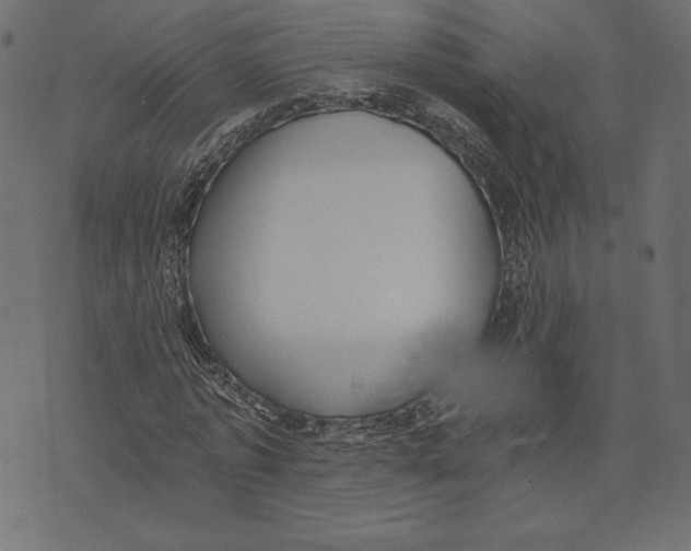 X0000072930773200608181315