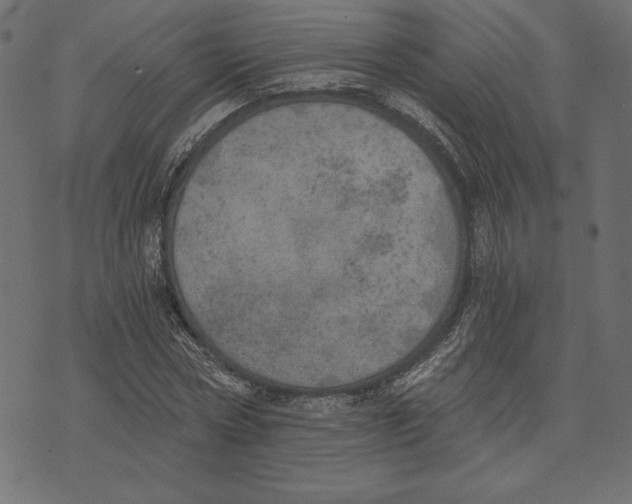 X0000072930778200608181315