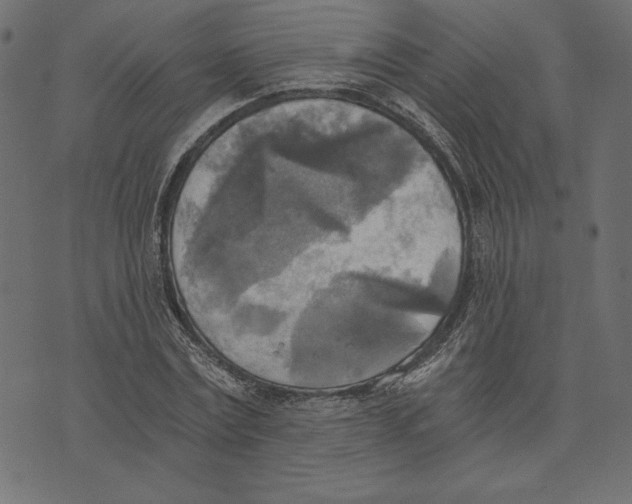 X0000072930779200608181315