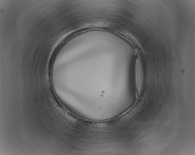 X0000072930784200608181315