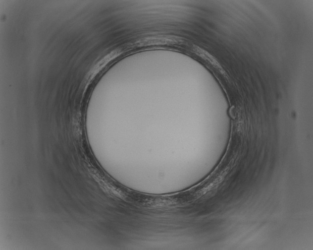 X0000072930786200608181315