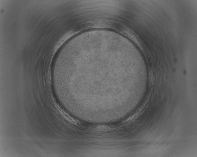 X0000072930787200608181315