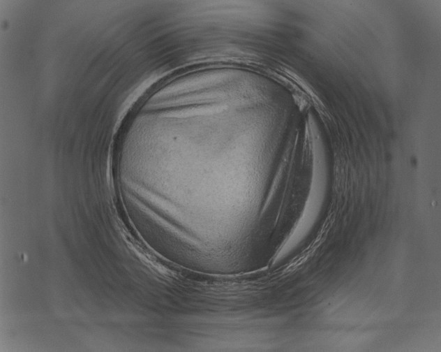X0000072930788200608181315