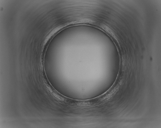 X0000072930789200608181315
